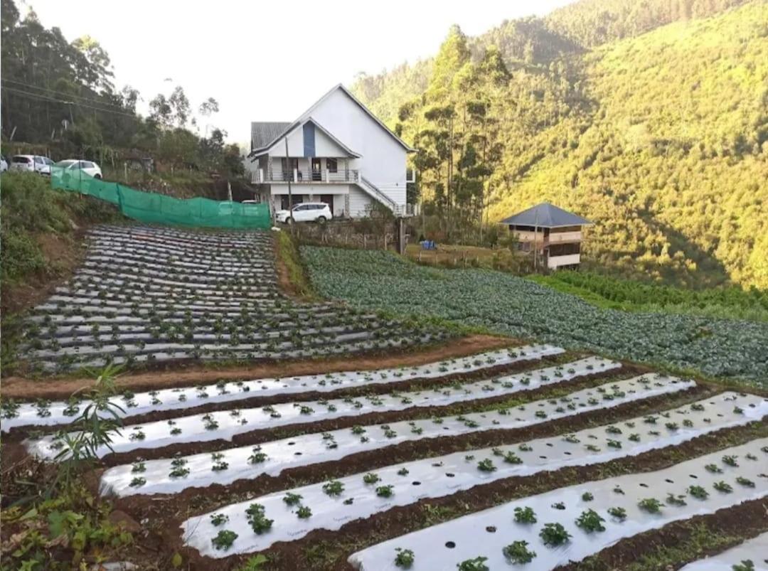 VattavadaShola County住宿加早餐旅馆 外观 照片